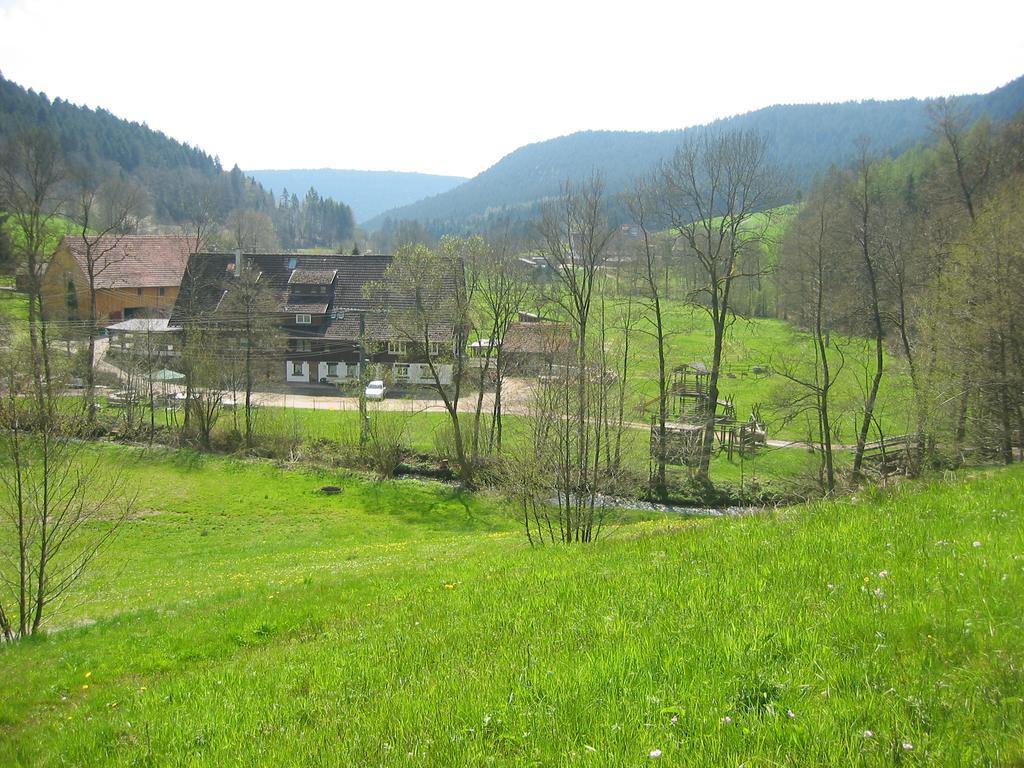 Landgasthof Untere Muehle Альпирсбах Экстерьер фото